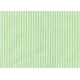 AO/33 RIGATINO STRECH VERDE - B63