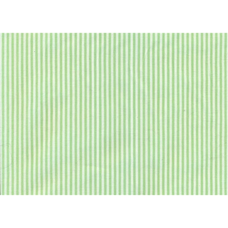 AO/33 RIGATINO STRECH VERDE - B63