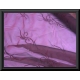 6278 ORGANZA SETA CANGIANTE COL. 6 BORDEAUX