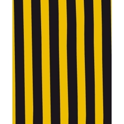 HIPPYE 54 RIGA GIALLO NERO