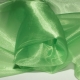 ORGANZA SCINTILLA 