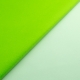 PANNOLENCI COLOR