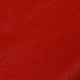 PANNOLENCI COLOR