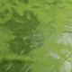 MAGLINA STRETCH SPALMATA C643 VERDE