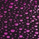 TULLE POIS MG1305
