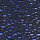 TULLE POIS MG1305