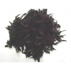 BOA PIUME